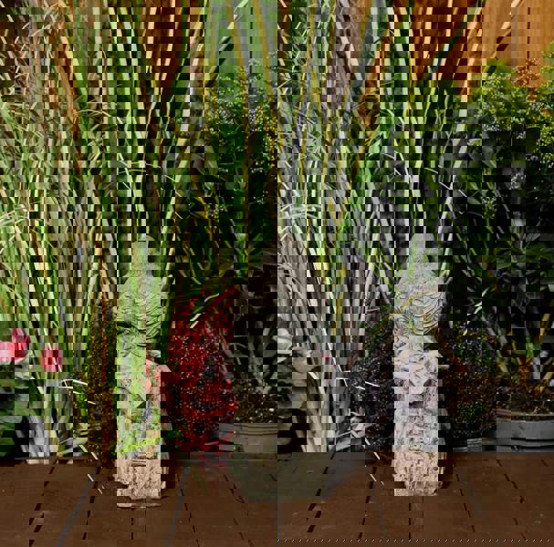 Robin on Post Statue | Bird on Post Stone Garden Ornament