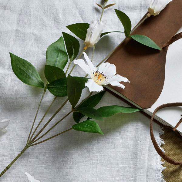 Wyld Haus Set of 3 Artificial Flower White Florida Clematis