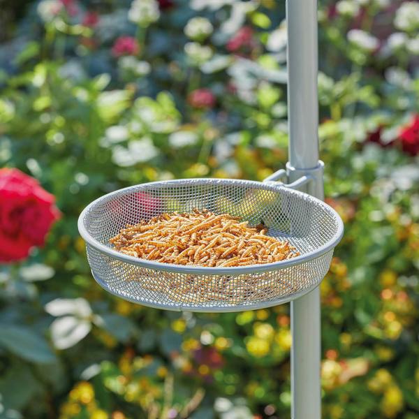 Scotts of Stow Complete Bird Feeding Station