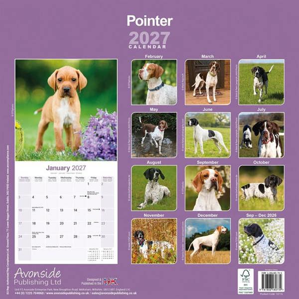 Pointer Calendar 2027, Wall Calendars, Month To View, Dogs, Gift