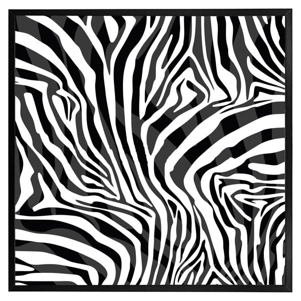 Benjamin Tate Design Zebra animal print (picture Frame)