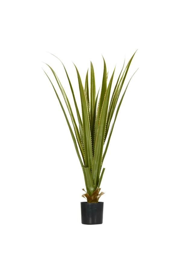 Dyzi Artificial Agave Plant for Tabletop with Cement-Filled Pot