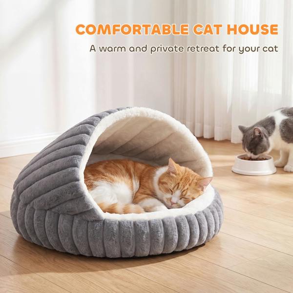 Cat House