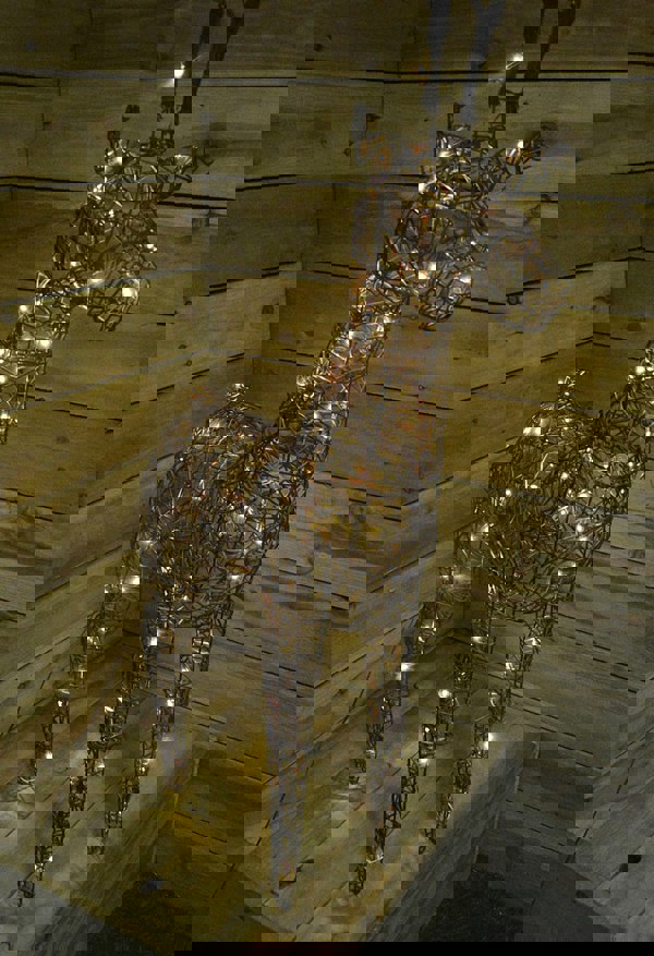 Samuel Alexander 1m (53") Brown Outdoor Standing Wicker Reindeer Decoration With LED Lights