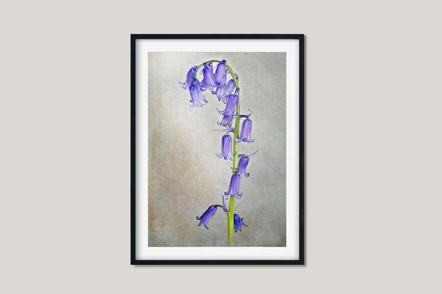 botanical flower wall art print of bluebell