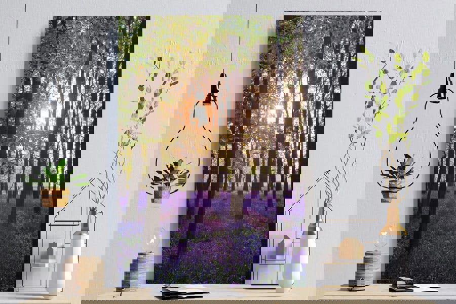 bluebell sunrise fine art photo print