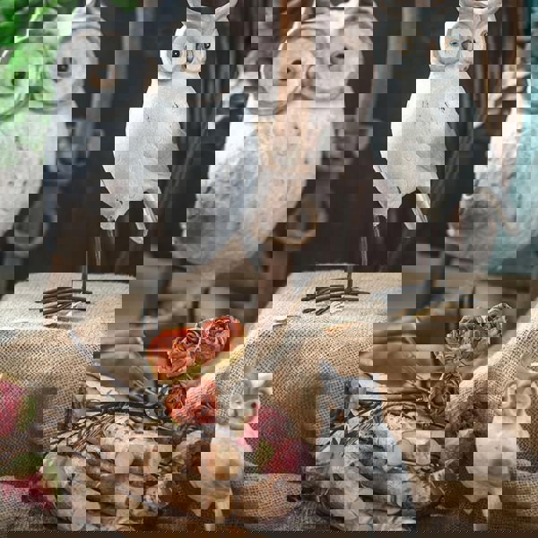 A Set Of Three Owls, Decoration-Weilai Concept-Weilai Concept