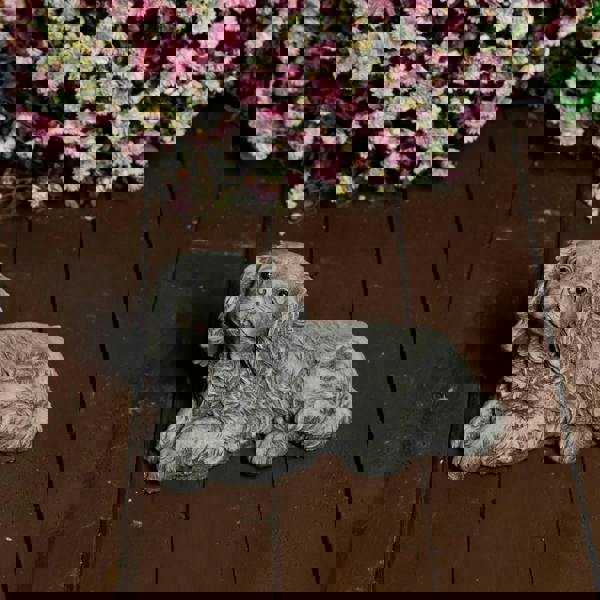 Stone Cast Small Laying King Charles Spaniel Dog Statue Ornament 