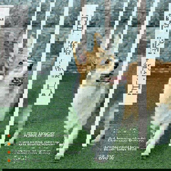 D07-039V00MX