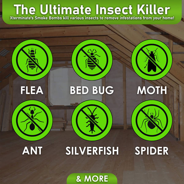Xterminate XXL Smoke Bomb Insect Killer Fogger Fumer for Bed Bugs