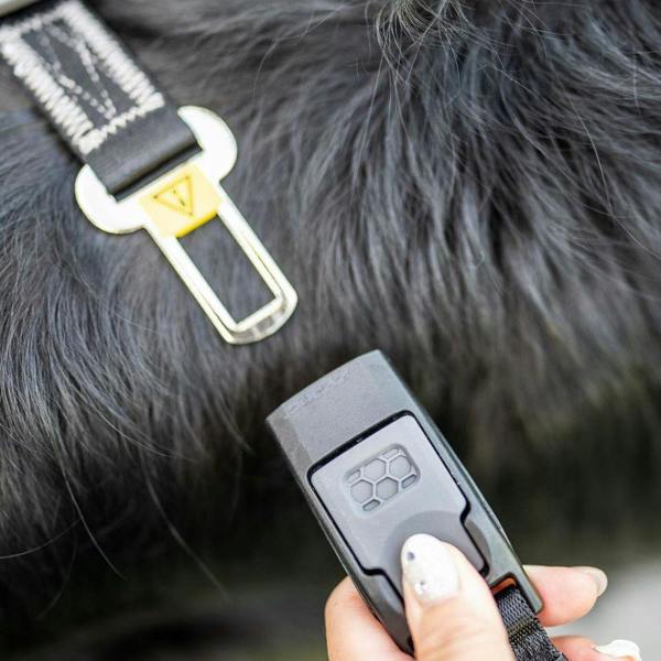 EzyDog Click Lead Handle for Seatbelt