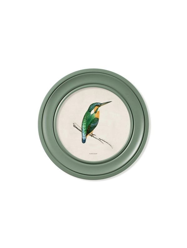 Exceptional Art c.1870 Kingfisher and Bee Eater - Round Frame Green