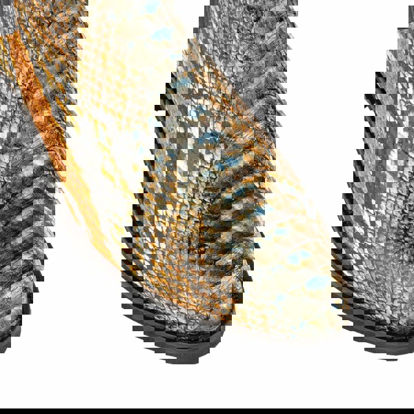 Embassy London Texas - Black & Orange Snake - Women's Leather Snake Print Western Boot