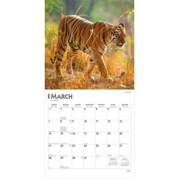 Tigers Calendar 2027, Wall Calendars, Month To View, Animals, Gift