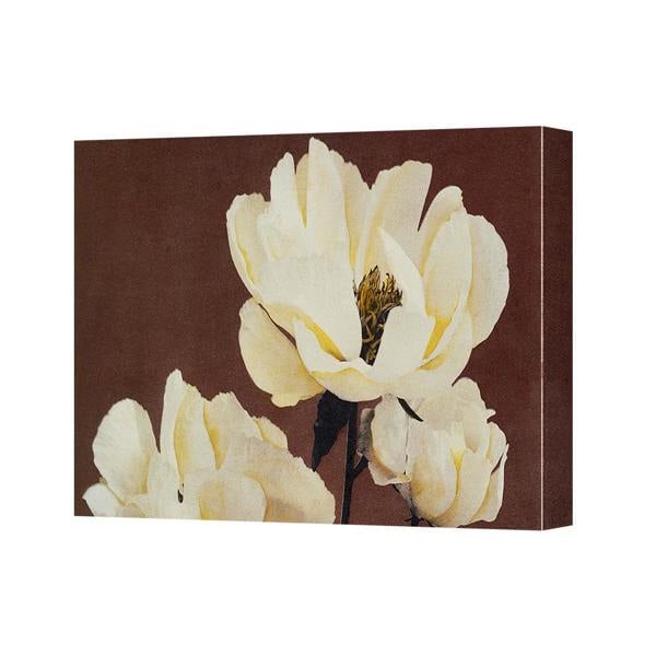 Benjamin Tate Design Magnolia White Flower Canvas Wall Art Print For Living Room Decor
