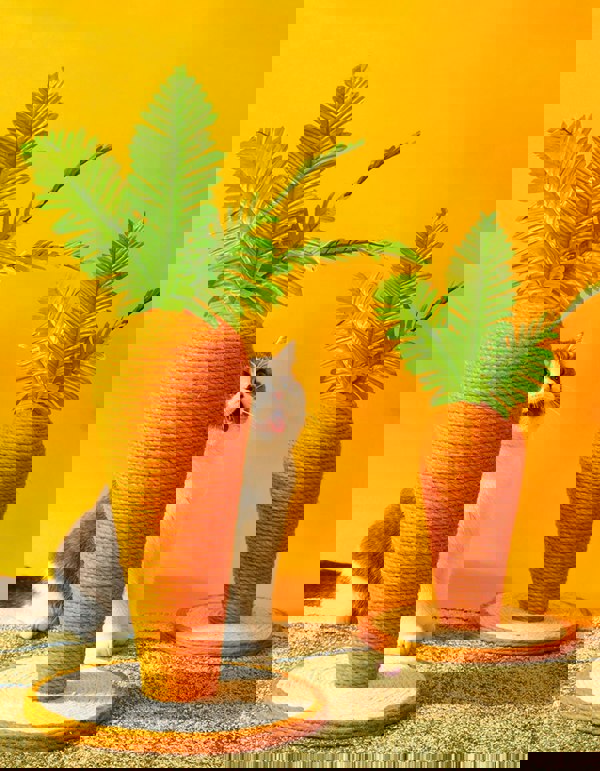 Calo's Carrot, Cat Toy, Hemp Rope, Cat Scratcher-Weilai concept-Weilai Concept