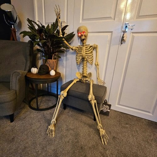 Samuel Alexander Pack of 3 5ft (150cm) Posable Full Body Halloween LED Skeleton Decoration with Movable Joints and LED Eyes