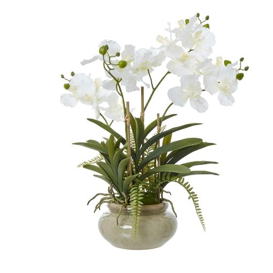 Wyld Haus Artificial Plant White Vanda Orchid Plant In Ceramic Pot