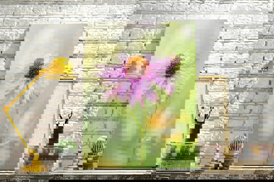 Fine art flower photography print on canvas by Jacky Parker