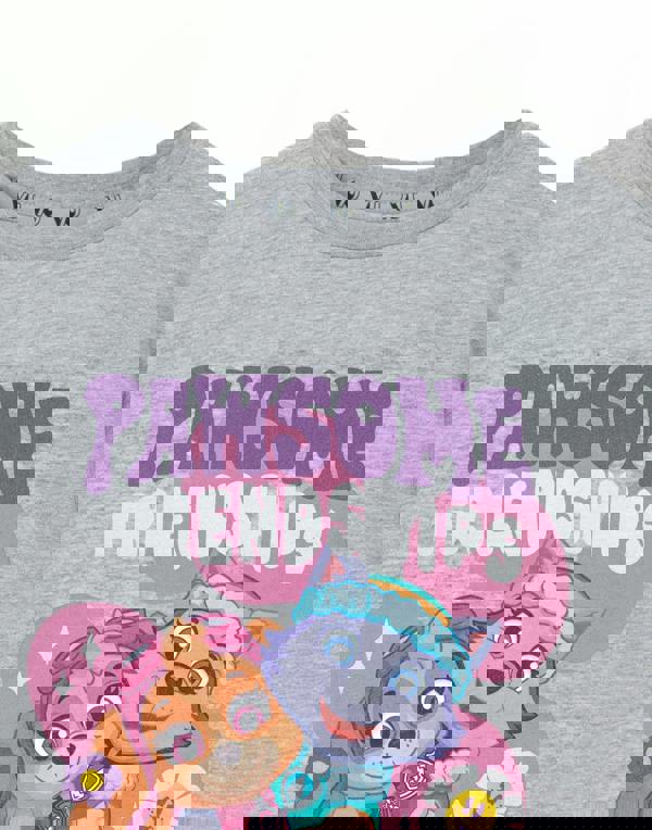 Paw Patrol Unisex Kids Grey Pawsome Friendships Short Sleeved T-Shirt