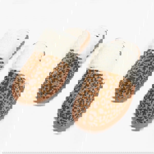 1635175206-23309700.jpg