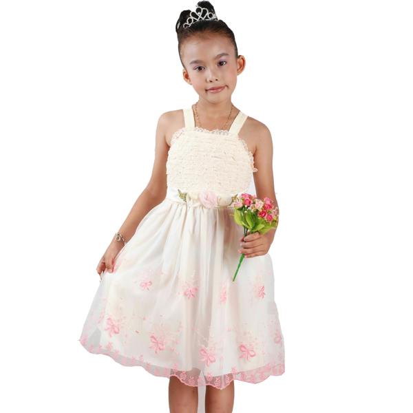 Cinda Embroidered Floral Party Dress