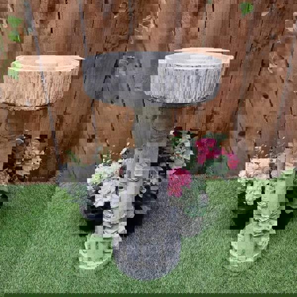 Bamboo Design Stone Cast Birdbath