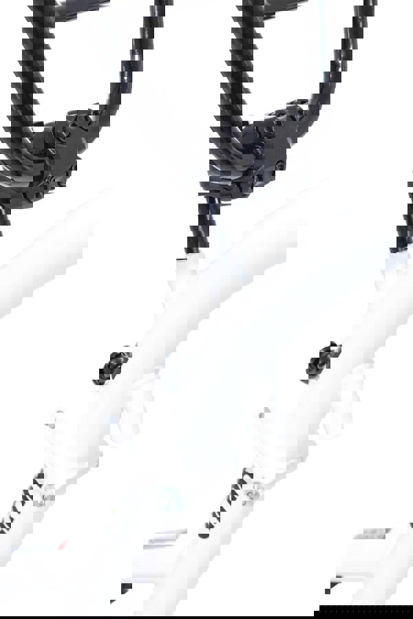 Close-up of White Tag-along bike