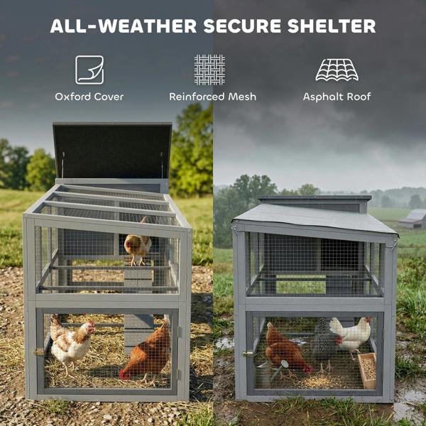 Chicken Coop