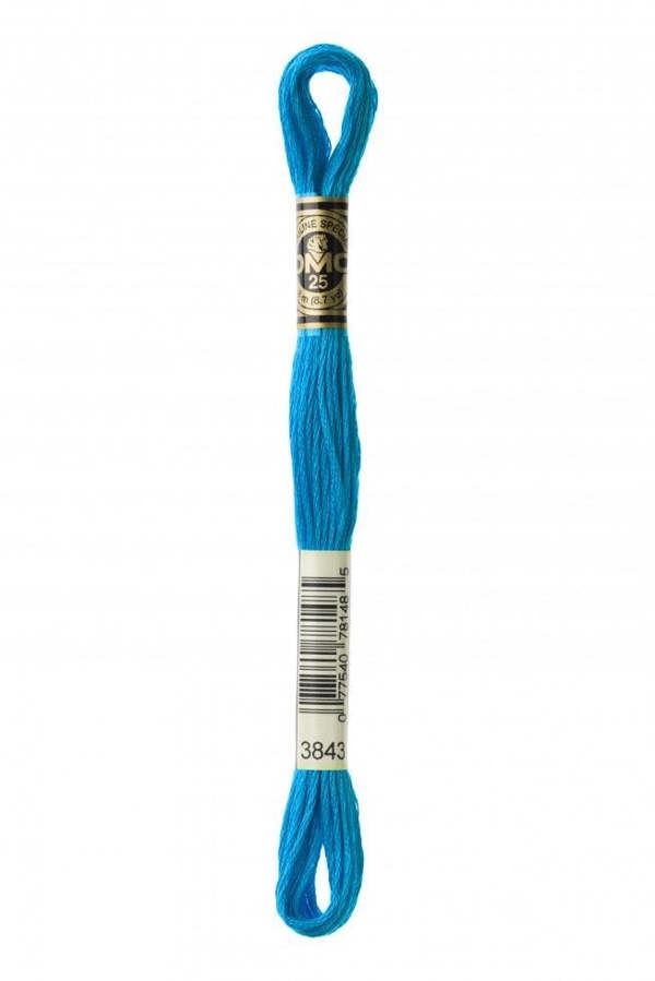 3843 | Blue
