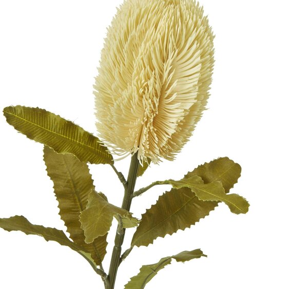 Wyld Haus Set of 3 Artificial Flowers Large Cream Banksia Serrata Stems