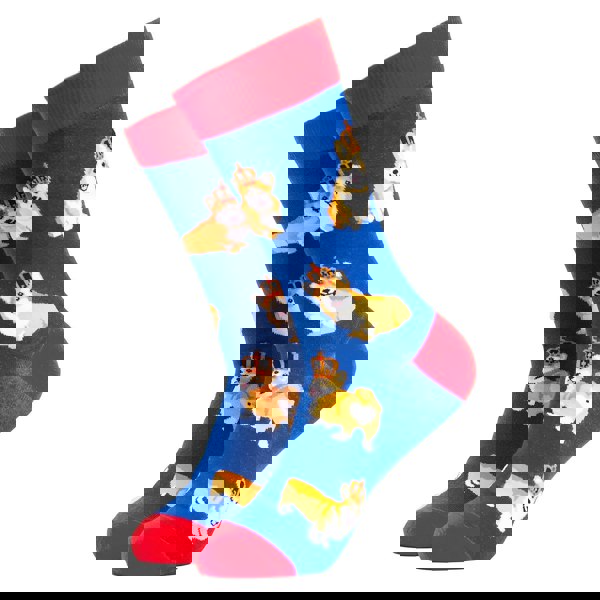 t4option1_7