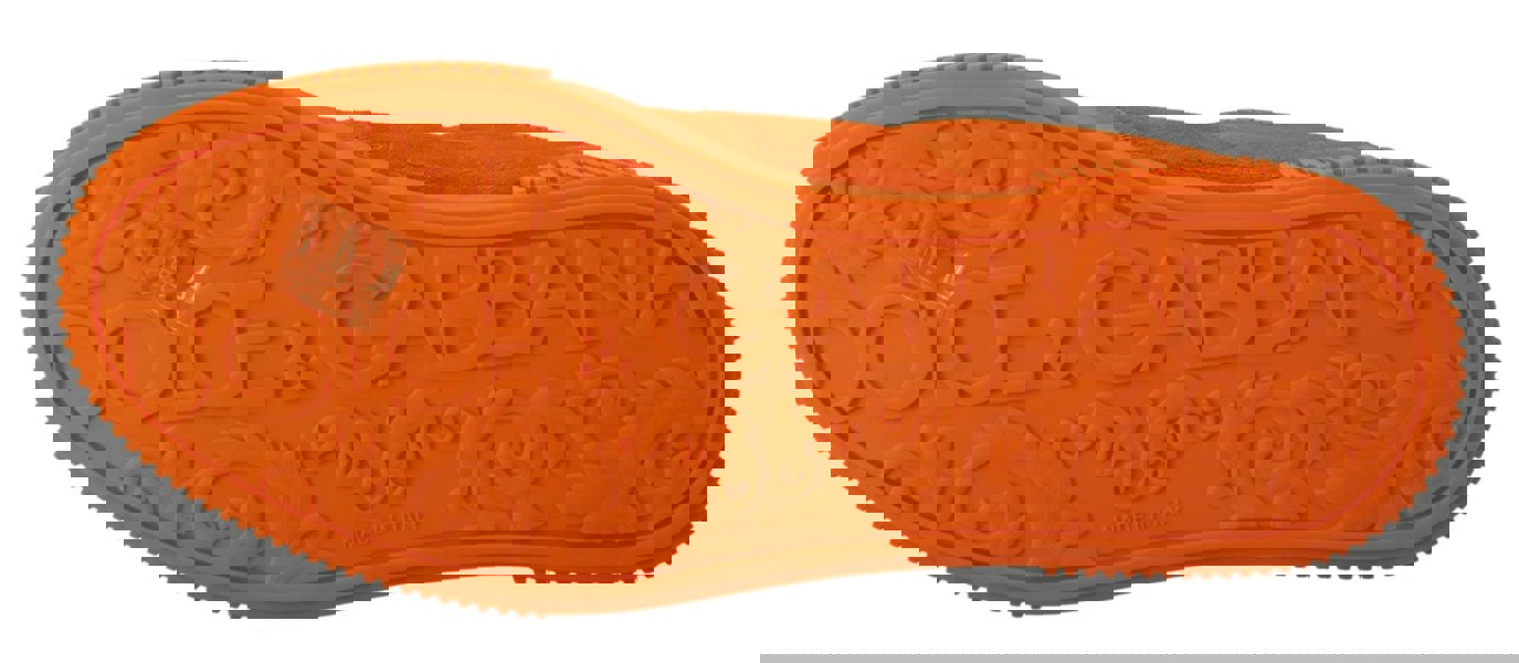 154400767.jpg