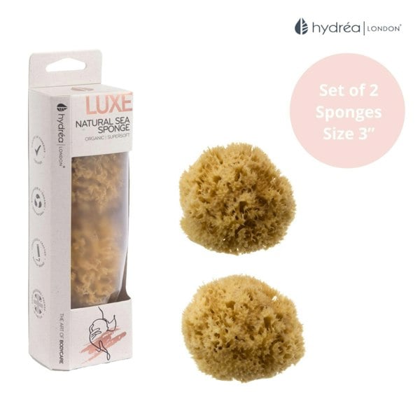 Hydréa London Premium Honeycomb Sea Sponge Set - Baby Bathing - Size 2.5-3"