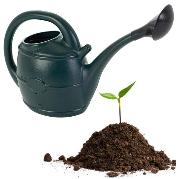 1 x Green 10 Litre Lightweight Garden Watering Can With Sprinkler Rose Head & Handle