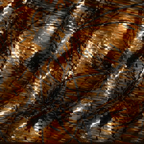 Samuel Alexander Set of 20 Indoor Outdoor Connectable Vintage Festoon Lights with Warm White LEDs