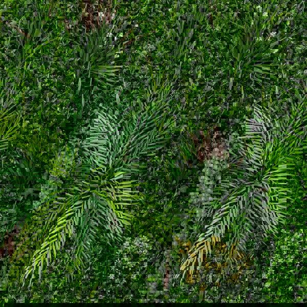 Monstershop Alina Artificial Wall Tile - 100cm x 100cm