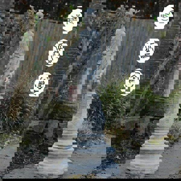 Classic Stone Cast Roman Lady statue with a Jug on Column