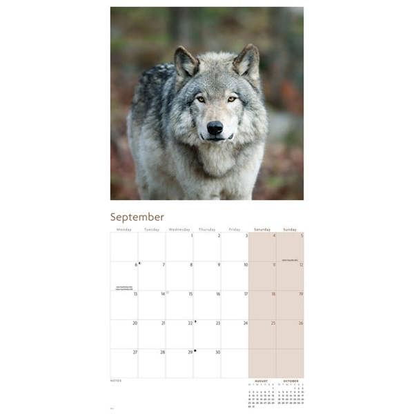 Wolves Calendar 2027, Wall Calendars, Month To View, Animals, Gift