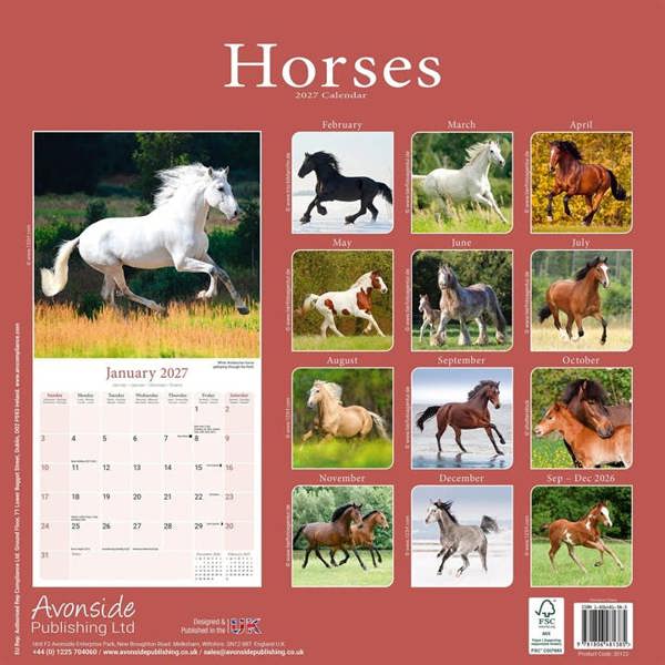 Horses Calendar 2027, Wall Calendars, Month To View, Animals, Gift