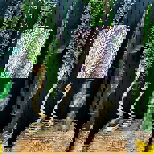 love frankie antique bronze deco lamp with Enchanted wood Cinnamon