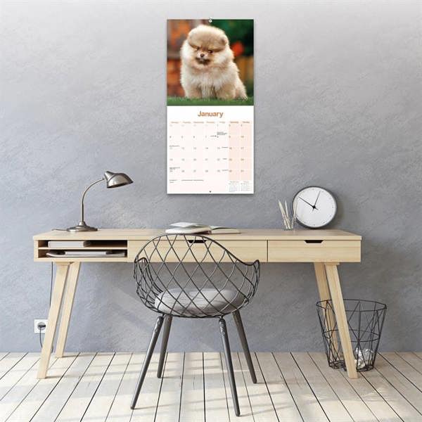 Pomeranian Calendar 2027, Wall Calendars, Month To View, Dogs, Gift