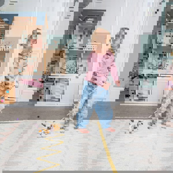 Polar B Pull Along Puppy