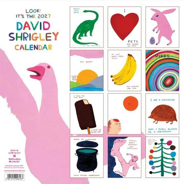 David Shrigley Calendar 2027, Wall Calendars, Month To View, Humour, Gift