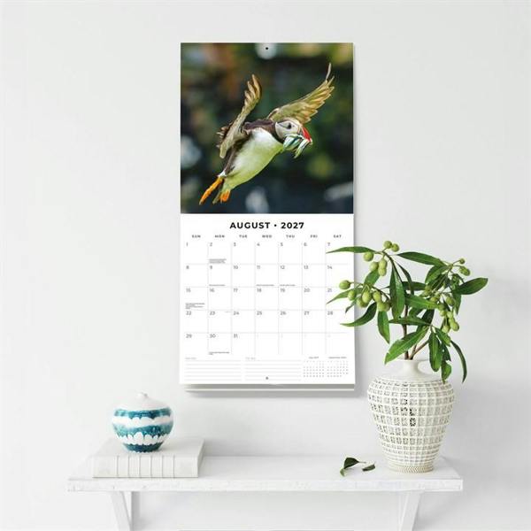 Puffins Calendar 2027, Wall Calendars, Month To View, Animals, Gift
