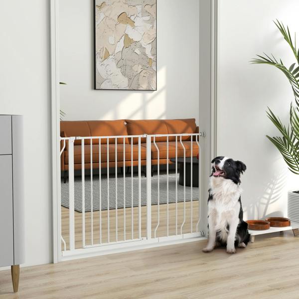 Pet Gate