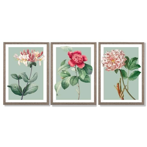 Artze Wall Art Vintage Flowers Honeysuckle, Peony Set of 3 Framed Prints