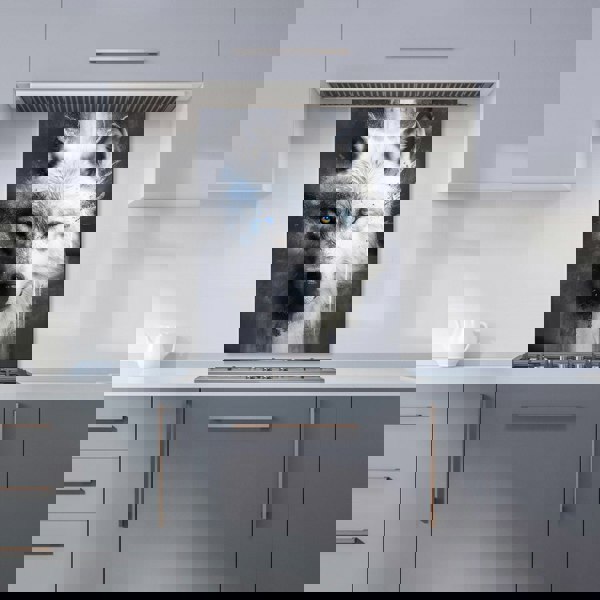 Warren Reed - Designer White Wolf Face Splashart Dark Backgrouns Kitchen Splashback