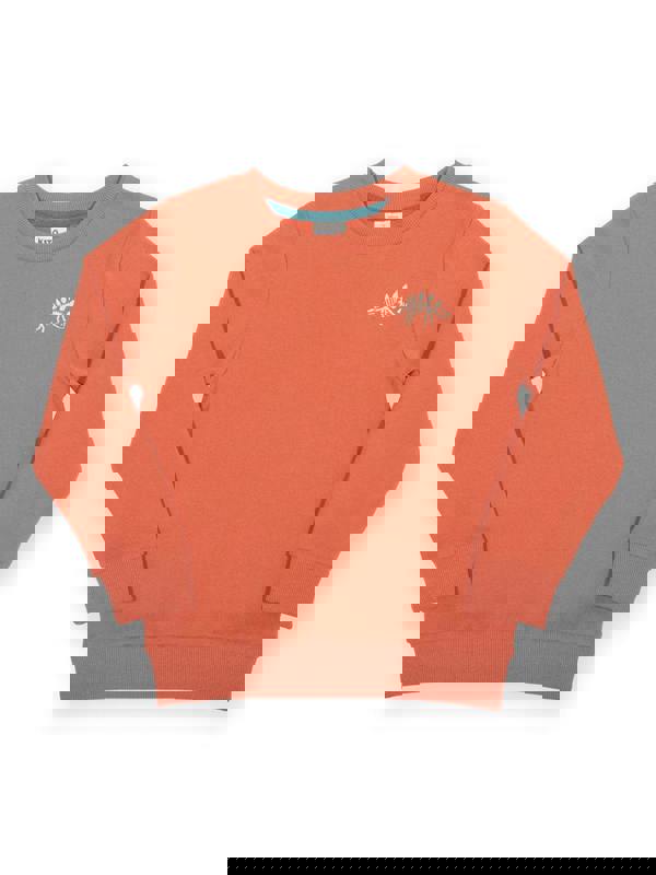 Kite Boys Organic Dino Discovery Sweatshirt