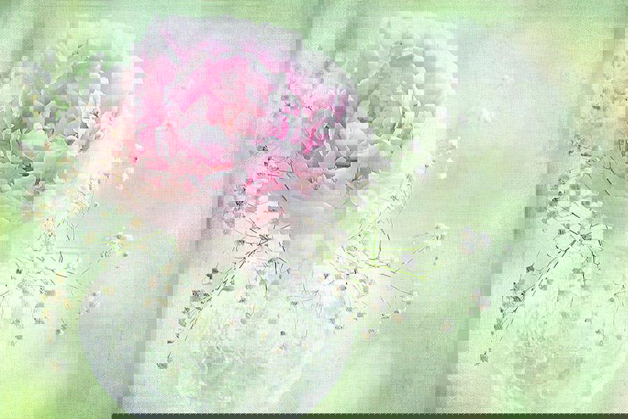 Fernlight Gallery Soft on Peonies